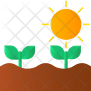 پیش‌نمایش فایل plant-growth-3636106 از پک باغبانی