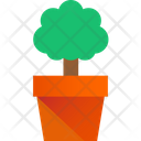 پیش‌نمایش فایل bonsai-tree-3635756 از پک گیاهان