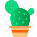 پیش‌نمایش فایل cactus-plant-3635746 از پک گیاهان
