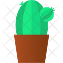 پیش‌نمایش فایل cactus-pot-3635740 از پک گیاهان