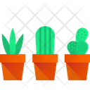 پیش‌نمایش فایل cactus-pots-3635748 از پک گیاهان