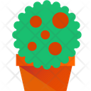 پیش‌نمایش فایل flower-plant-3635781 از پک گیاهان
