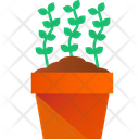 پیش‌نمایش فایل growing-plant-3635747 از پک گیاهان