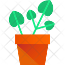 پیش‌نمایش فایل pilea-plant-3635766 از پک گیاهان