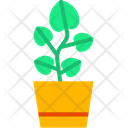 پیش‌نمایش فایل pilea-plant-3635774 از پک گیاهان