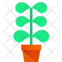 پیش‌نمایش فایل plant-3635779 از پک گیاهان