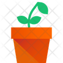 پیش‌نمایش فایل plant-pot-3635744 از پک گیاهان