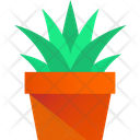 پیش‌نمایش فایل plant-pot-3635745 از پک گیاهان