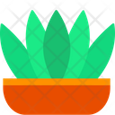 پیش‌نمایش فایل plant-pot-3635752 از پک گیاهان