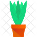 پیش‌نمایش فایل snake-plant-3635767 از پک گیاهان