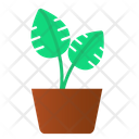پیش‌نمایش فایل split-leaf-pot-3635772 از پک گیاهان