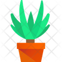 پیش‌نمایش فایل yucca-cane-plant-3635782 از پک گیاهان
