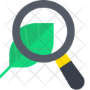پیش‌نمایش فایل leaf-search-3647873 از پک علم