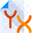 پیش‌نمایش فایل x-y-chromosome-3647871 از پک علم