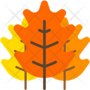 پیش‌نمایش فایل autumn-leaf-3674123 از پک پاییز
