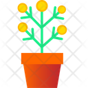 پیش‌نمایش فایل money-plant-3664342 از پک تامین مالی جمعی