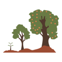 پیش‌نمایش فایل tree-plant-ecology-nature-10923882 از پک مبارزه با تغییرات آب و هوایی