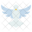 پیش‌نمایش فایل dove-64 از پک همه چیز درباره کتاب مقدس و کریسمس