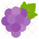 پیش‌نمایش فایل grapes-244 از پک همه چیز درباره کتاب مقدس و کریسمس
