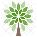 پیش‌نمایش فایل tree-1263 از پک همه چیز درباره کتاب مقدس و کریسمس