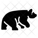 پیش‌نمایش فایل bear-2746038 از پک حیوانات
