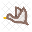 پیش‌نمایش فایل flying-duck-5656973 از پک حیوانات و پرندگان