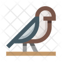 آیکن