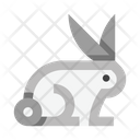 پیش‌نمایش فایل bunny-5657672 از پک عید پاک