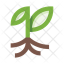 پیش‌نمایش فایل plant-5658163 از پک گیاهان