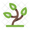 پیش‌نمایش فایل plant-5658164 از پک گیاهان