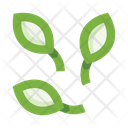 پیش‌نمایش فایل plants-5658152 از پک گیاهان