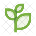 پیش‌نمایش فایل plants-5658157 از پک گیاهان