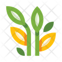 پیش‌نمایش فایل plants-5658162 از پک گیاهان
