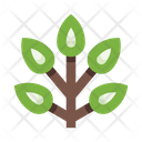پیش‌نمایش فایل plants-5658167 از پک گیاهان
