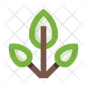 پیش‌نمایش فایل plants-5658168 از پک گیاهان