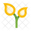 پیش‌نمایش فایل plants-5658169 از پک گیاهان