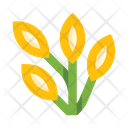 پیش‌نمایش فایل plants-5658170 از پک گیاهان
