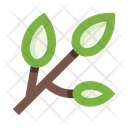 پیش‌نمایش فایل plants-5658171 از پک گیاهان