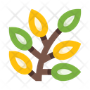 پیش‌نمایش فایل plants-5658172 از پک گیاهان