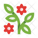 پیش‌نمایش فایل plants-5658173 از پک گیاهان