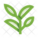 پیش‌نمایش فایل plants-5658174 از پک گیاهان