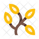 پیش‌نمایش فایل plants-5658175 از پک گیاهان