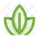 پیش‌نمایش فایل plants-5658176 از پک گیاهان