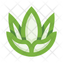 پیش‌نمایش فایل plants-5658177 از پک گیاهان