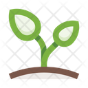 پیش‌نمایش فایل sprout-5658154 از پک گیاهان
