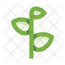 پیش‌نمایش فایل sprout-5658155 از پک گیاهان