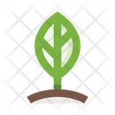 پیش‌نمایش فایل leaf-5658081 از پک برگ‌ها