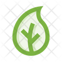 پیش‌نمایش فایل leaf-5658082 از پک برگ‌ها