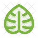 پیش‌نمایش فایل leaves-5658077 از پک برگ‌ها