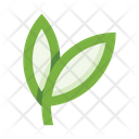 پیش‌نمایش فایل leaves-5658083 از پک برگ‌ها